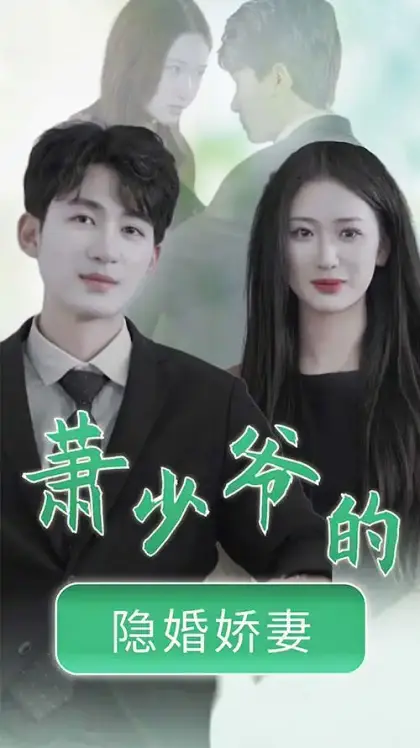 萧少爷的隐婚娇妻