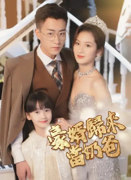 豪婿歸來當奶爸
