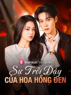 Sự Trỗi Dậy Của Hoa Hồng Đen