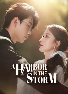 A Harbor in the Storm