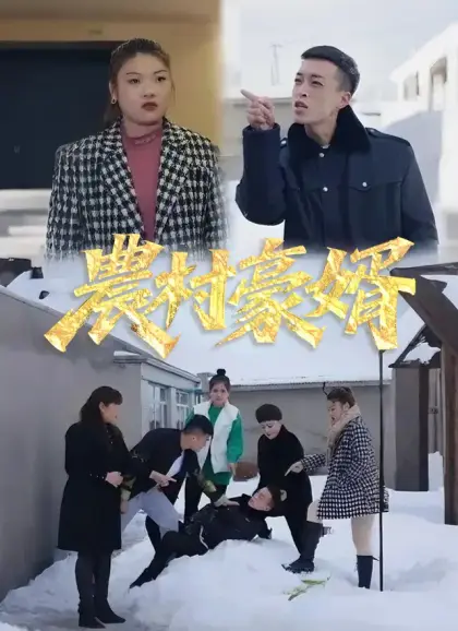 農村豪婿