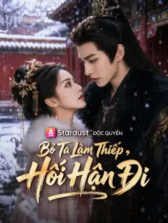 Bỏ Ta Làm Thiếp, Hối Hận Đi
