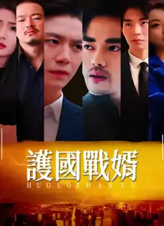 護國戰婿