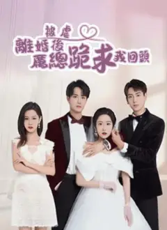 被虐離婚後,厲總跪求我回頭