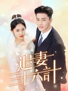 追妻三十六計