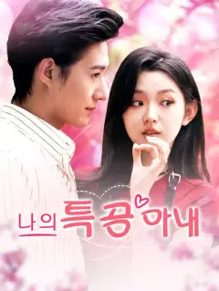 나의 특공 아내