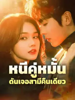หนีคู่หมั้น ดันเจอสามีคืนเดียว
