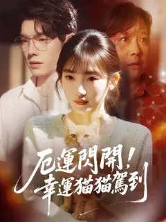 厄運閃開,幸運貓貓駕到