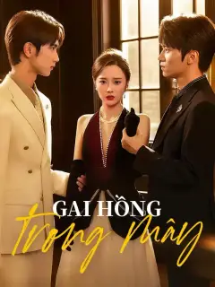 Gai hồng trong mây