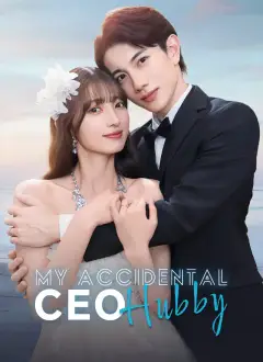 My Accidental CEO Hubby