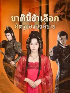 ชาตินี้ข้าเลือกศัตรูขององค์ชาย