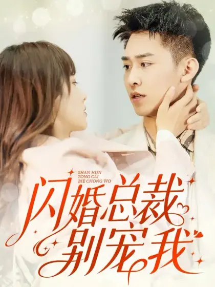 閃婚總裁別寵我