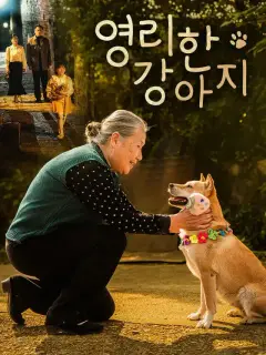 영리한 강아지