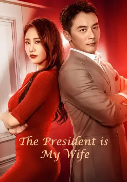 The President is My Wife