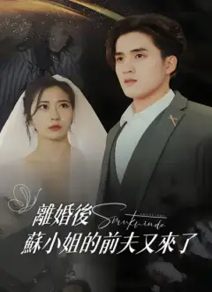 離婚後，蘇小姐的前夫又來了