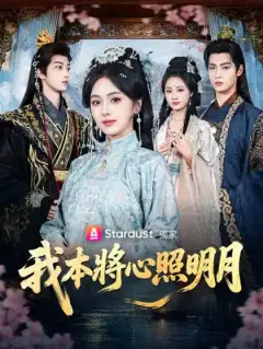 我本將心照明月