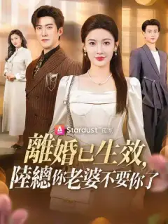 離婚已生效,陸總你老婆不要你了