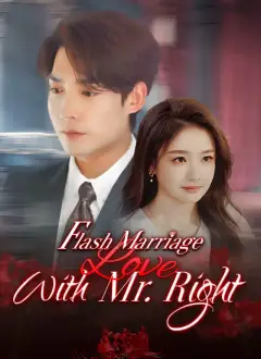 Flash Marriage With Mr. Right