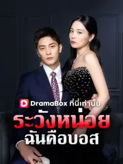 ระวังหน่อย ฉันคือบอส(พากย์ไทย)
