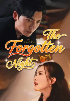 The Forgotten Night