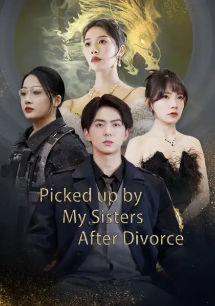 Picked up by My Sisters After Divorce