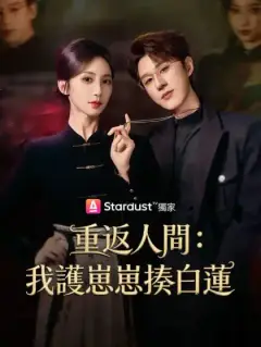 重返人間:我護崽崽揍白蓮