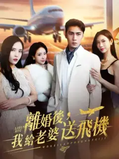 離婚後,我給老婆送飛機