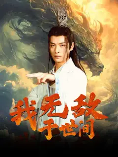 我无敌于世间