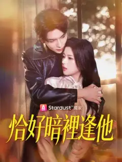 恰好暗裡逢他