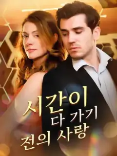 시간이 다 가기 전의 사랑