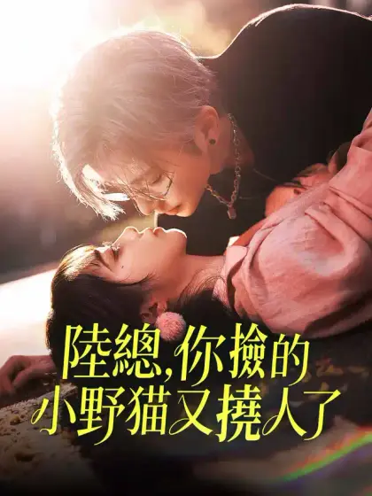 陸總,你撿的小野貓又撓人了