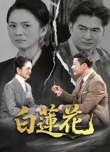 白蓮花