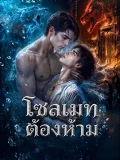 โซลเมทต้องห้าม