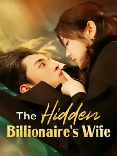 The Hidden Billionaire's Wife