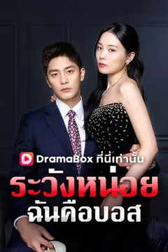 ระวังหน่อย ฉันคือบอส