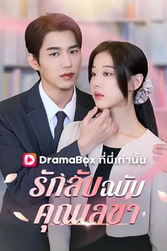 รักลับฉบับคุณเลขา