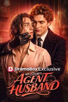 My Secret Agent Husband