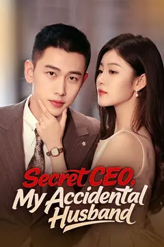Secret CEO, My Accidental Husband