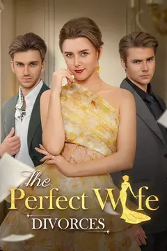 The Perfect Wife Divorces