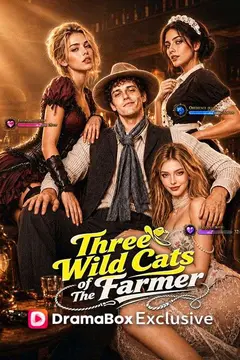 Three Wild Cats of The Farmer