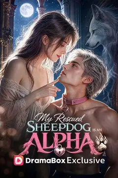 My Rescued Sheepdog Is An Alpha King