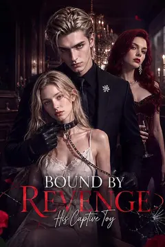 Bound by Revenge: His Captive Toy