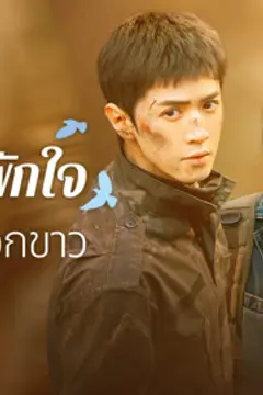 ปลูกรักพักใจ ใต้ต้นมะกอกขาว