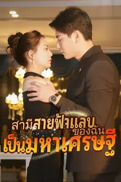 สามีสายฟ้าแลบของฉันเป็นมหาเศรษฐี