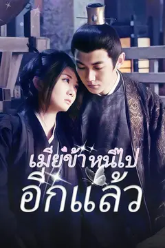 เมียข้าหนีไปอีกแล้ว
