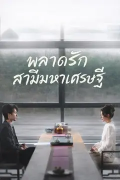 พลาดรักสามีมหาเศรษฐี