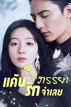 แค้นรักภรรยาจำเลย